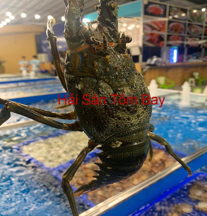 NHÀ HÀNG HẢI SẢN TÔM BAY